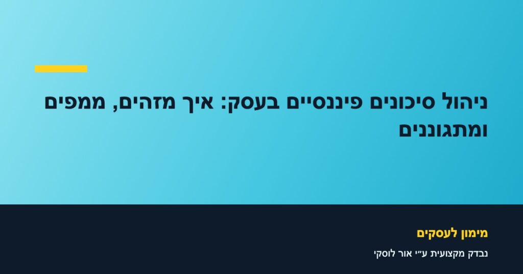 ניהול סיכונים פיננסיים בעסק: איך מזהים, ממפים ומתגוננים